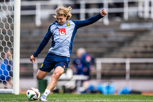 Sebastian Nanasi of the Swedish men's national football team