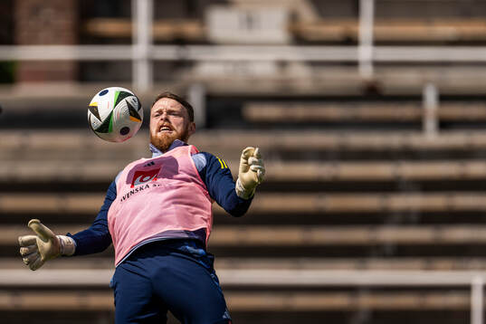 goalkeeper Viktor Johansson of the Swedish men's national