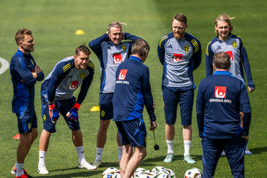 Assistant coach Sebastian Larsson, goalkeeper Kristoffer