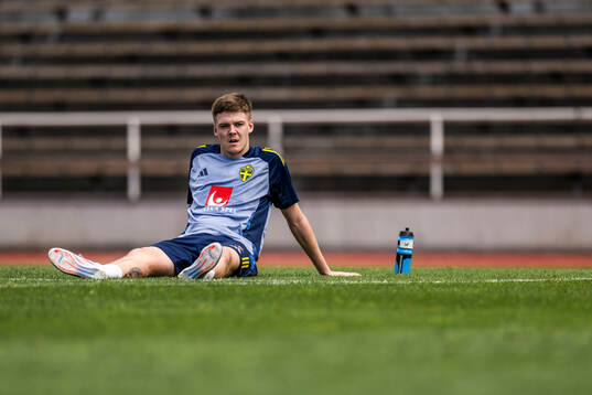 Emil Holm of the Swedish men's national football team