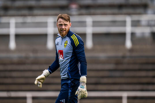 goalkeeper Viktor Johansson of the Swedish men's national