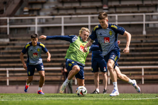 Emil Forsberg and Emil Holm of the Swedish men's national