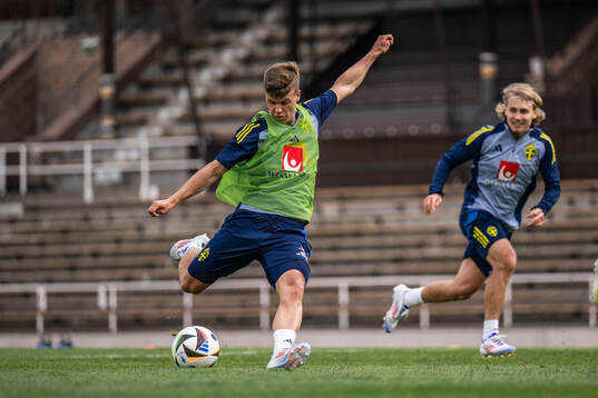 Samuel Dahl of the Swedish men's national football team