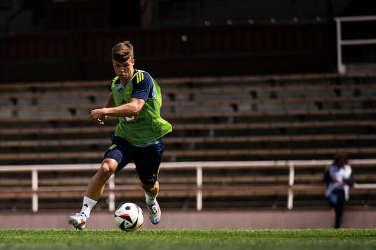Samuel Dahl of the Swedish men's national football team