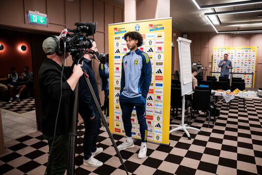 Jens-Lys Michel Cajuste of the Swedish national football