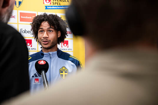 Jens-Lys Michel Cajuste of the Swedish national football