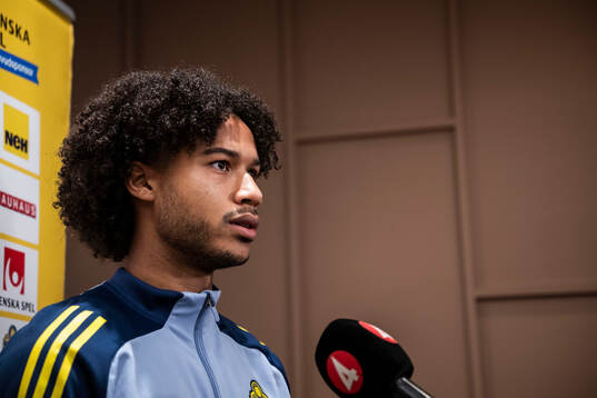 Jens-Lys Michel Cajuste of the Swedish national football