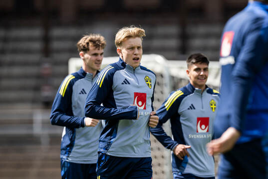 Daniel Svensson of the Swedish men's national football team