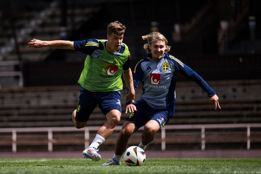 Samuel Dahl and Sebastian Nanasi of the Swedish men's