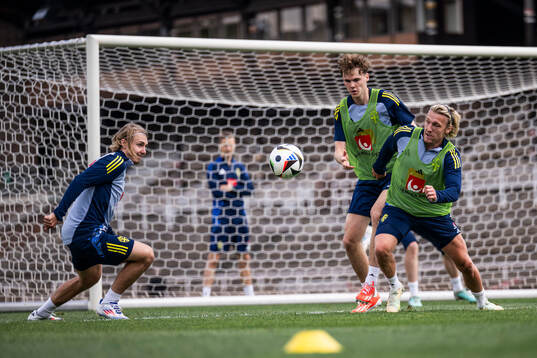 Sebastian Nanasi, Williot Swedberg and Emil Forsberg of the