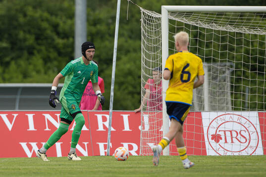 goalkeeper Noel Törnqvist of Sweden