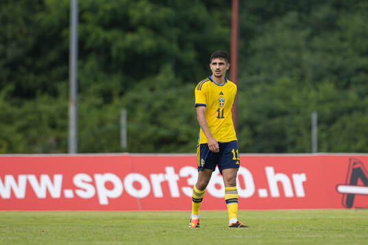 Aimar Sher of Sweden
