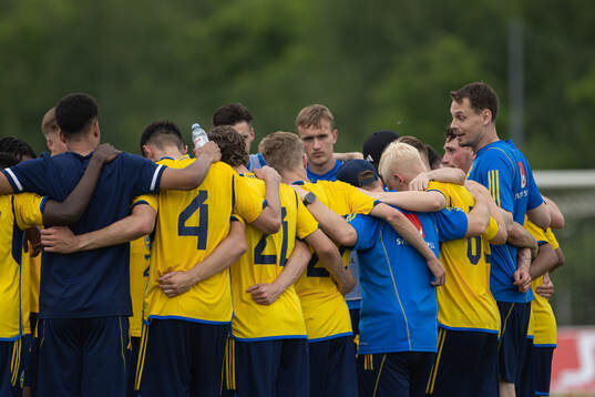 Players of Sweden