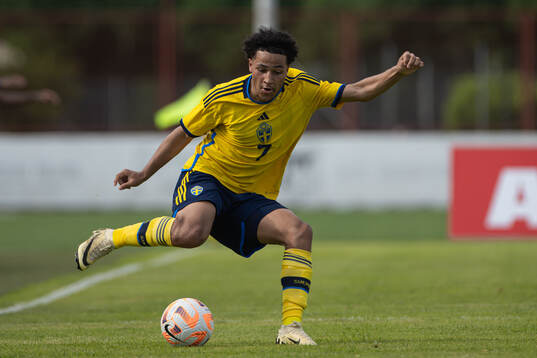 Momodou Sonko of Sweden