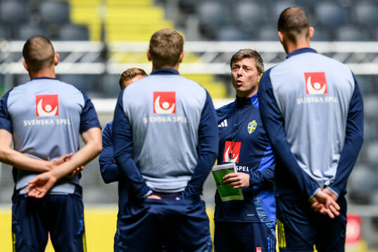 Head coach Jon Dahl Tomasson of the Swedish men's national