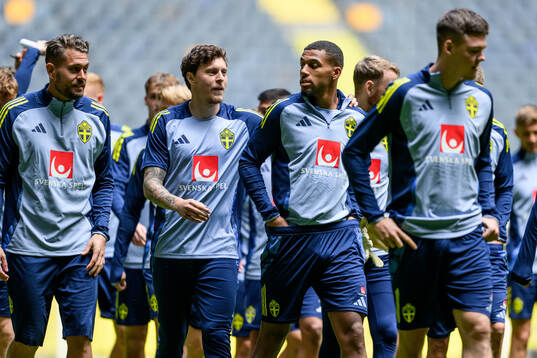 goalkeeper Kristoffer Nordfeldt, Victor Nilsson Lindelöf