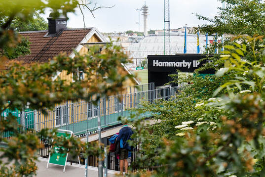 Hammarby IP
