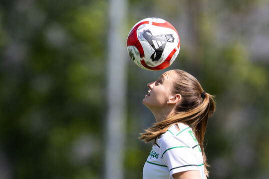 Hammarbys Vilde Hasund