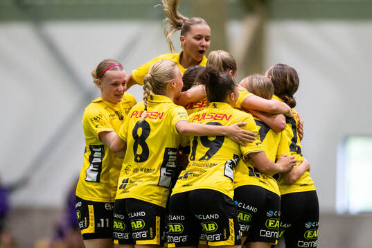 Elfsborgs spelare jublar