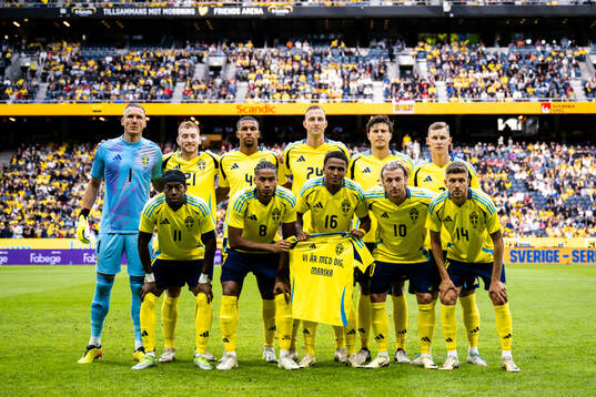 Players of Sweden line up for a team photo with a shirt
