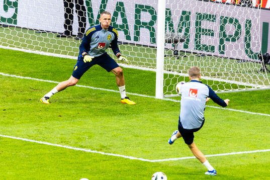 Goalkeeper Robin Olsen of Sweden