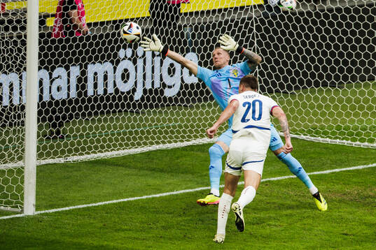 Sergej Milinkovic-Savic of Serbia scores the 0-1 goal