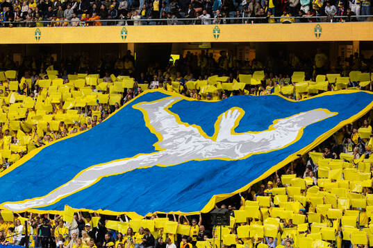 during the international friendly football match between