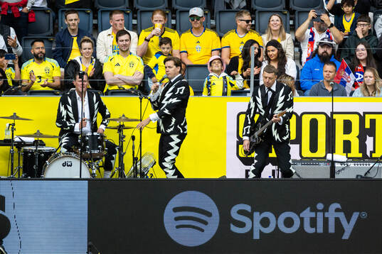 The Hives perform
