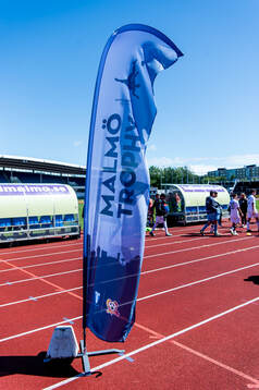 Malmö stadion