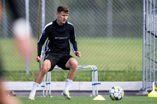 Robin Dzabic