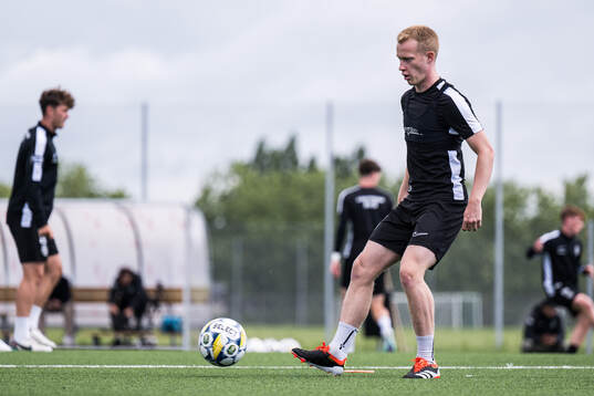 David Edvardsson