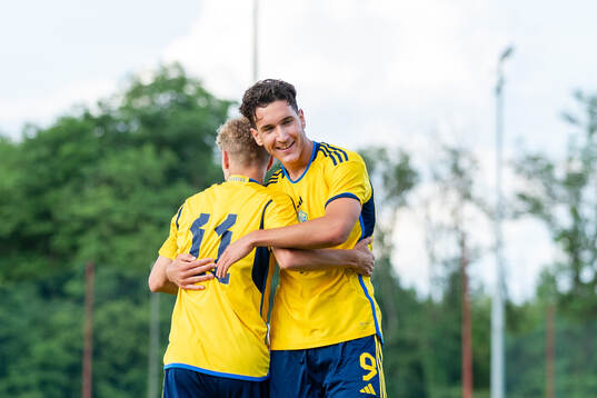 Players of Sweden celebrate with Hugo Bolin