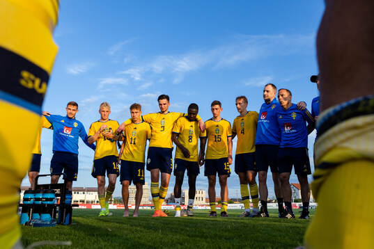 Players of Sweden