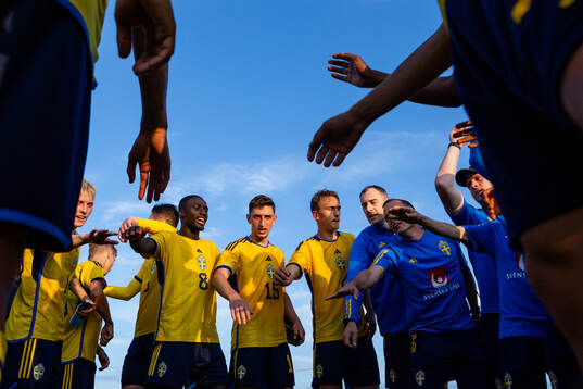 Players of Sweden