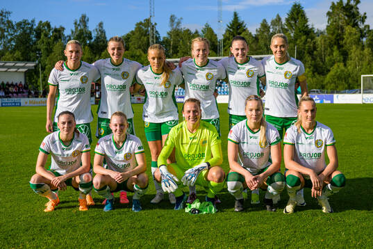 Hammarbys startelva
