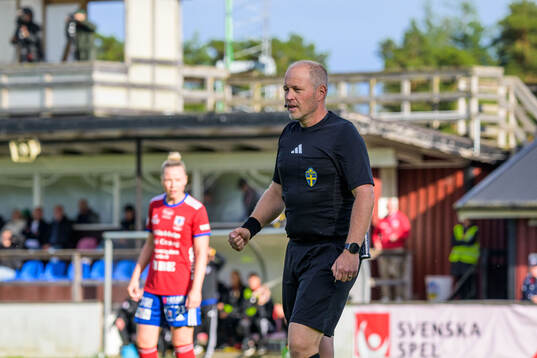 Domare Niklas Olsson