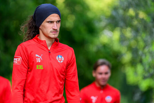 Ervin Gigovic