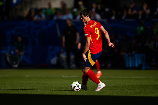 Robin Aime Le Normand Mainfray of Spain