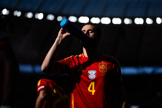 Nacho of Spain