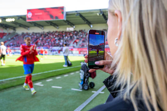 Helsingborgs Ervin Gigovic