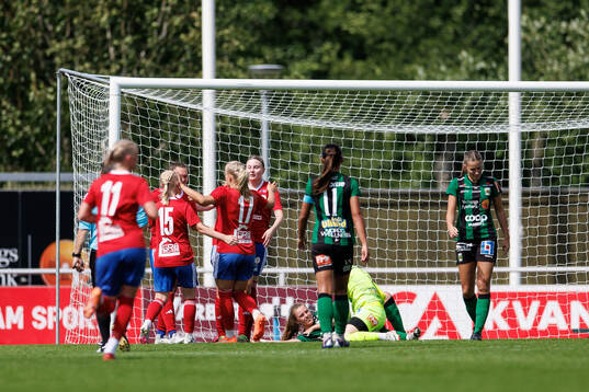 Vellinges spelare jublar