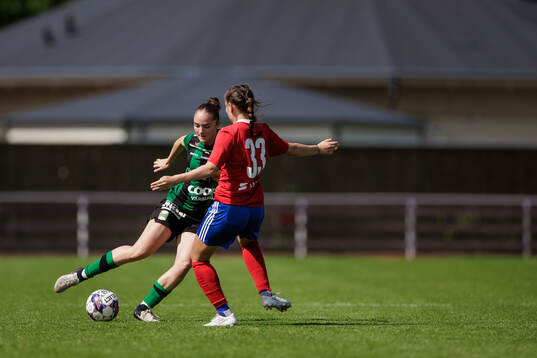 Varbergs Blearta Osmani