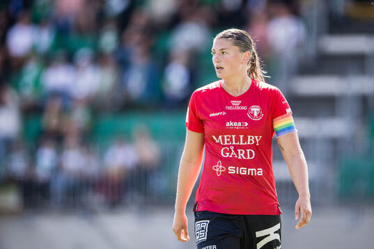 Trelleborgs Saga Ollerstam