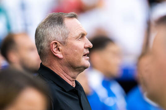 Head coach Matjaz Kek of Slovenia