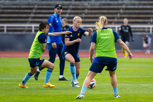 Djurgårdens spelarna