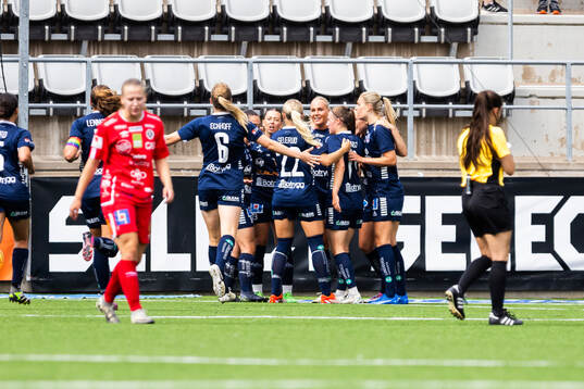Linköpings spelare jublar