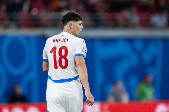 Ladislav Krejci of Czech Republic