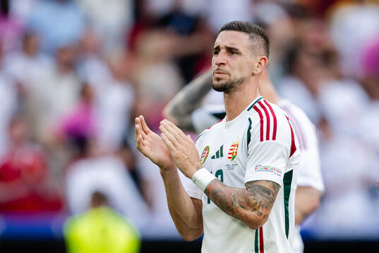 Zsolt Nagy of Hungary