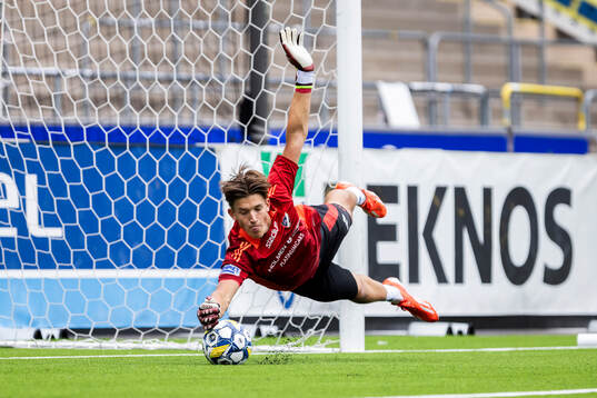 IFK Norrköpings målvakt David Andersson