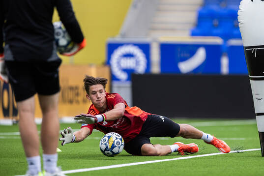 IFK Norrköpings målvakt David Andersson